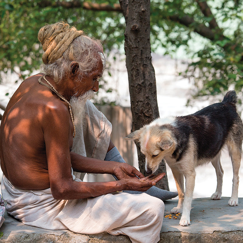 Spiritual Lessons From A Dog