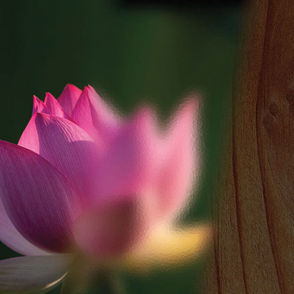 An Analogical Lookat the Three Modes of Material Nature