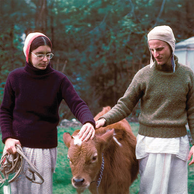 A Cow And God’s Goodness